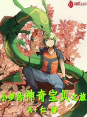 小罗的神奇宝贝之旅