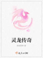灵龙传奇