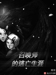 召唤师的逃亡生涯