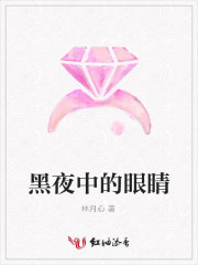 黑夜中的眼睛