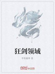 狂剑领域