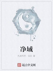 净域