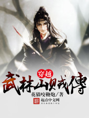 山贼传