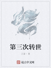 第三次转世