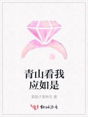 青山看我应如是