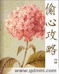 偷心攻略