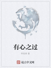 有心之过