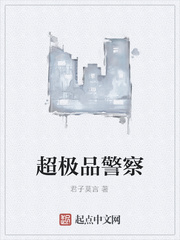 极品警察
