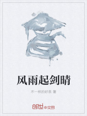 风雨起剑晴