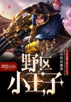 王者荣耀之野区小王子