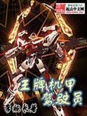 王牌机甲
