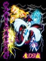 神奇宝贝之精灵守护者