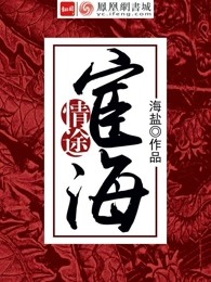 宦海情途