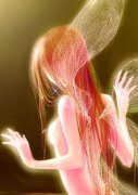 珍珠海岸·白莲真干净